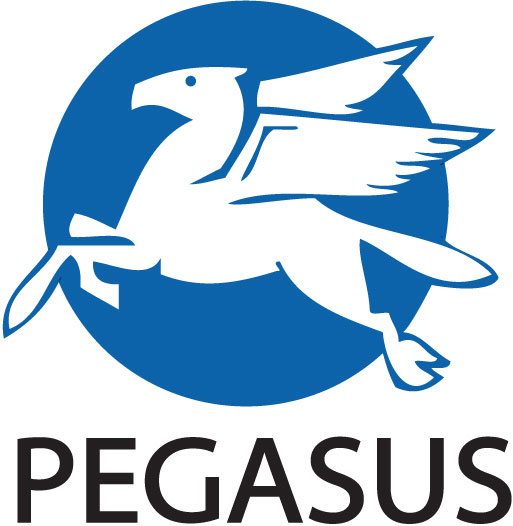 Kirjastus Pegasus
